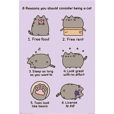 Maxi Poster - Pusheen (Reasons To Be A Cat)