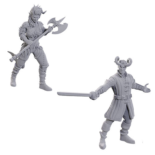 Nolzurs Marvelous Miniatures: Special Edition Baldurs Gate 3 - Wyll & Karlach