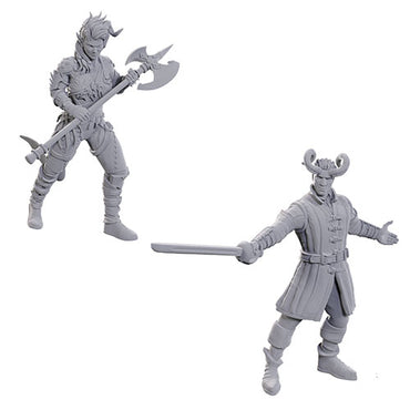 Nolzurs Marvelous Miniatures: Special Edition Baldurs Gate 3 - Wyll & Karlach