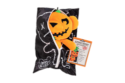 Deddy Bears 30cm Body Bag - Series 1 - Squash