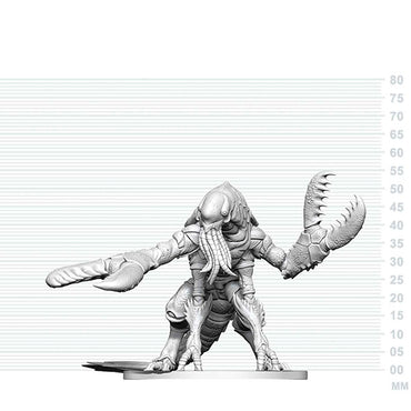Nolzer's Marvolous Miniatures: Chuul ** RELEASES 26/08/2026 **