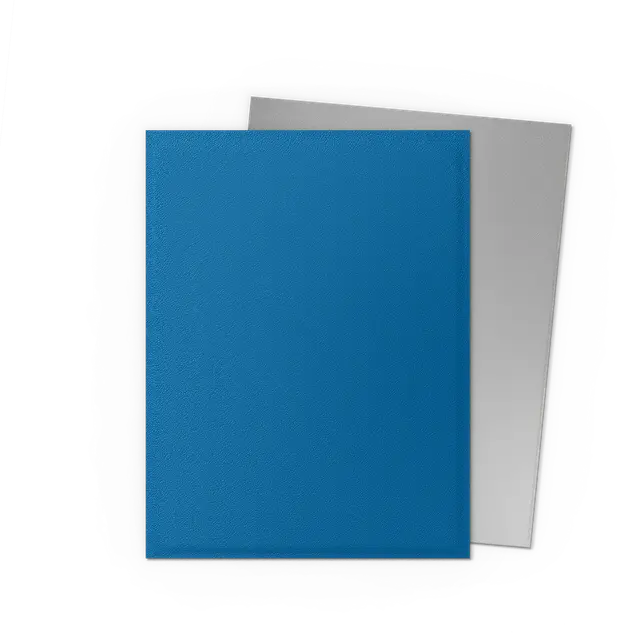 Dragon Shield - Dual Matte Standard Size Sleeves 100pk - Blue/Silver 25th Special Edition