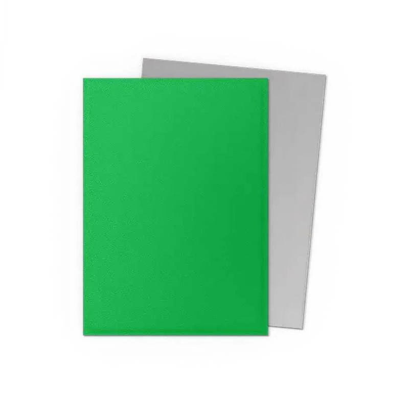 Dragon Shield - Dual Matte Standard Size Sleeves 100pk - Apple Green & Silver