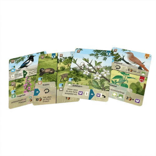 Forest Shuffle: Woodland Edge Expansion
