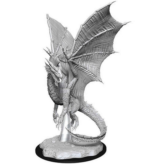 Nolzur's Marvelous Miniatures: Young Silver Dragon