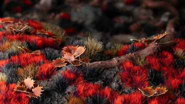 GAMER'S GRASS GENERATION II ALIEN - ALIEN BLOOD MOON 6MM