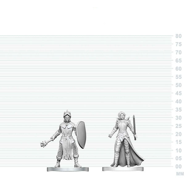 Nolzer's Marvolous Miniatures: Black Gauntlet & Zhentilar Paladin of Bane ** RELEASES 26/08/2026 **
