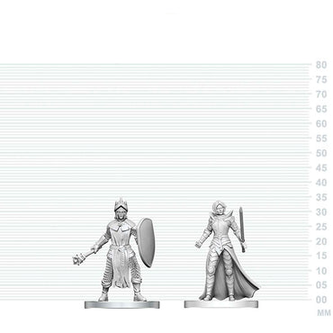 Nolzer's Marvolous Miniatures: Black Gauntlet & Zhentilar Paladin of Bane ** RELEASES 26/08/2026 **