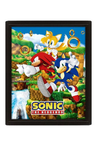 Sonic The Hedgehog 3D Lenticular Poster Catching Rings