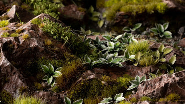 GAMER'S GRASS LASER CUT PLANTS - PLANTAIN LILY
