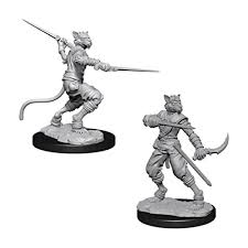 Nolzer's Marvolous Miniatures: Tabaxi Rogue