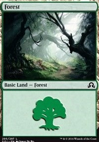 Forest (295) [Shadows over Innistrad]