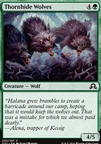 Thornhide Wolves [Shadows over Innistrad]