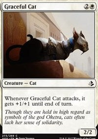 Graceful Cat [Amonkhet]