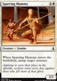 Sparring Mummy [Amonkhet]