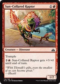 Sun-Collared Raptor [Rivals of Ixalan]