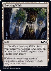 Evolving Wilds [Core Set 2020]