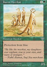 Karoo Meerkat [Mirage]