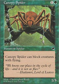 Canopy Spider [Tempest]