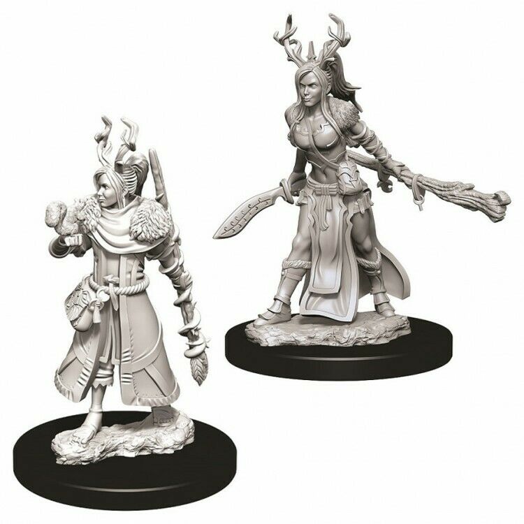 Nolzer's Marvolous Miniatures: Human Female Druid