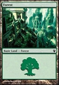 Forest (90) [Duel Decks: Izzet vs. Golgari]