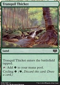 Tranquil Thicket [Commander 2014]