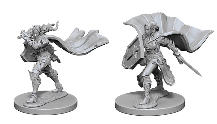 Deep Cuts: Female Elf Paladin