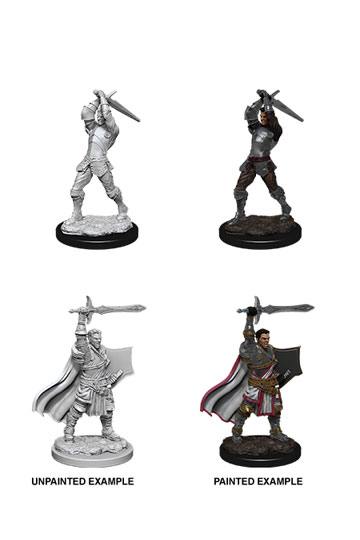 Nolzer's Marvelous Miniatures: Male Human Paladin