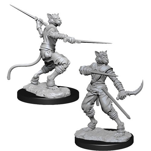 Nolzur's Marvelous Miniatures: Tabaxi Male Rouge