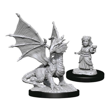 Nolzur's Marvelous Miniatures: Silver Dragon Wyrmling & Halfling Dragonfriend
