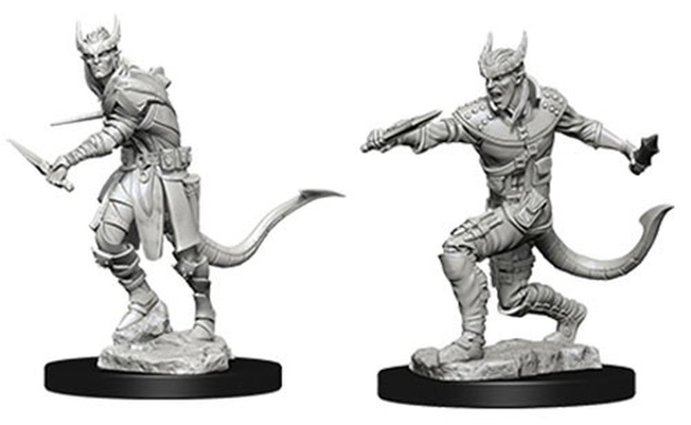 Nolzur's Marvelous Miniatures: Male Tiefling Rouge