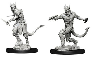 Nolzur's Marvelous Miniatures: Male Tiefling Rouge