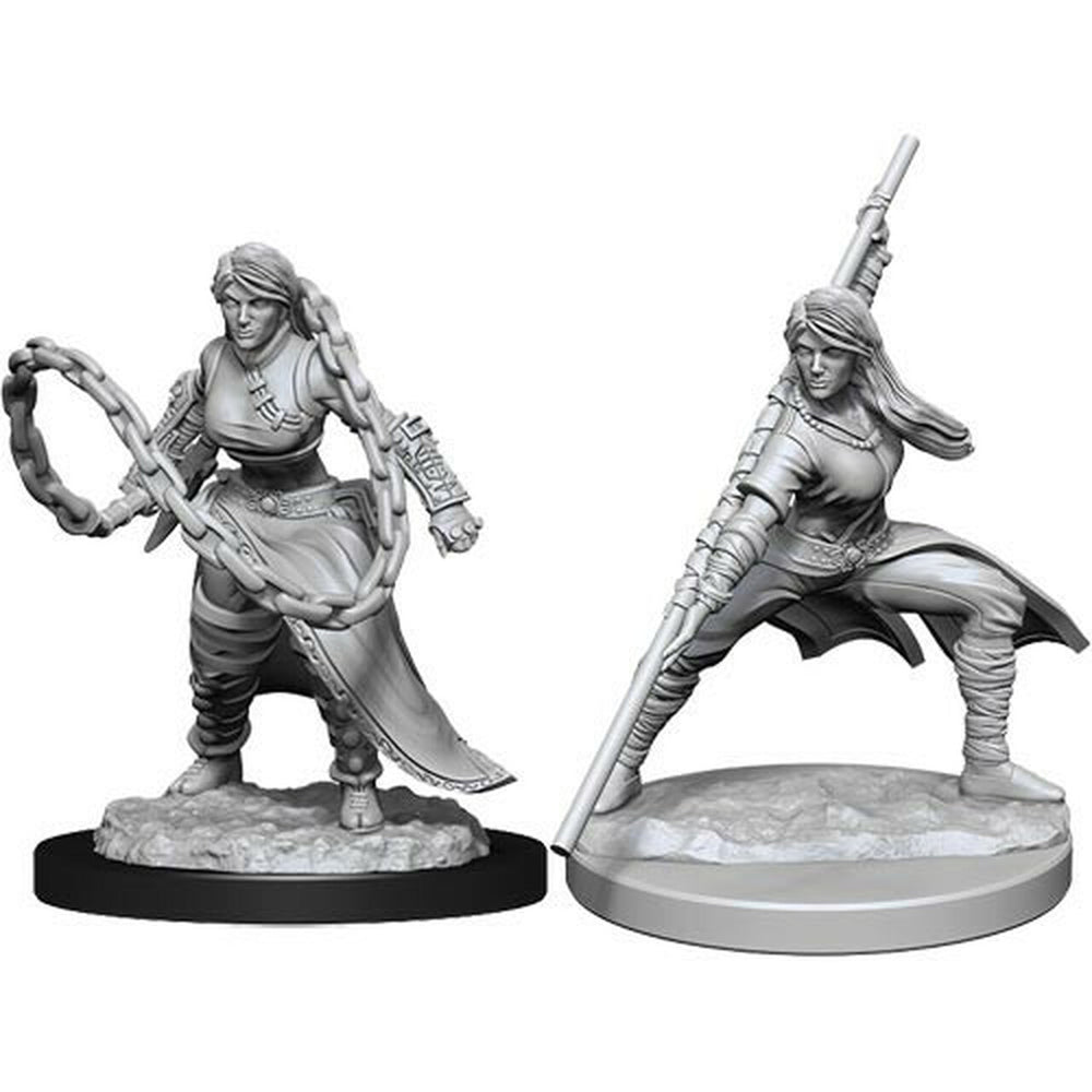 Nolzur's Marvelous Miniatures: Human Female Monk
